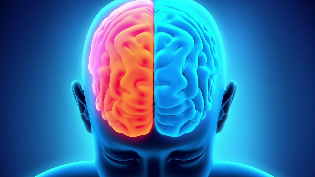 Zinātnieki aicina mūs sagatavoties gaidāmajiem notikumiem, jo tie skar visu valsti: „Divas smadzeņu daļas darbojas kopā kā smilšu pulkstenis”.