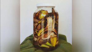 Banānu mizu un ūdens sajaukšana burkā: kāpēc tas ir nepieciešams un kāpēc tas ir ieteicams?