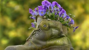 Ja jums ir vecas kurpes, nemetiet tās prom: tagad tās izmanto kā puķu podus dārzā.