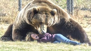 Tas izklausās ļoti dīvaini, bet zinātne to apstiprina: lāči var kļūt arvien vairāk zālēdāji un mainīt savu lomu ekosistēmās.