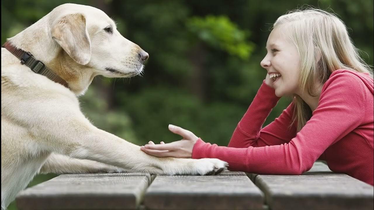 Kas no psiholoģijas viedokļa nozīmē runāt ar mājdzīvniekiem tā, it kā tie būtu cilvēki?