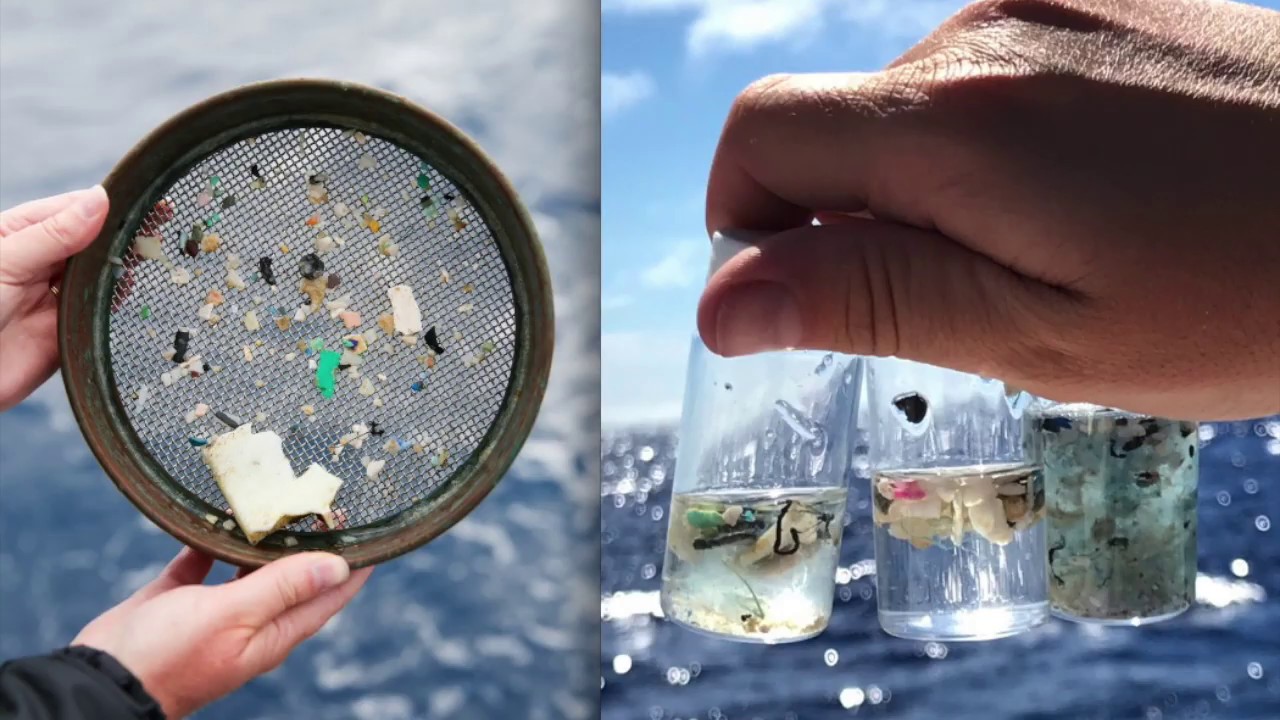 Atvadieties no mikroplastmasas: šis filtrs, kas izveidots pēc zivju parauga, to noņem no ūdens veļas mašīnā.