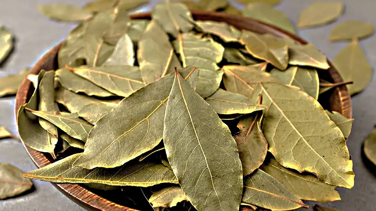 Lauru lapa ir pilna ar sāli — visu janvāri es būšu apmierināta ar savu viltību: noderīgs padoms visām saimniecēm.