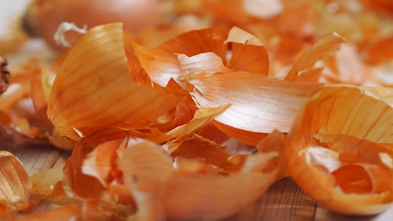 Sīpolu mizu uzglabāšana: kāpēc tas ir ieteicams un kādas priekšrocības tas sniedz.