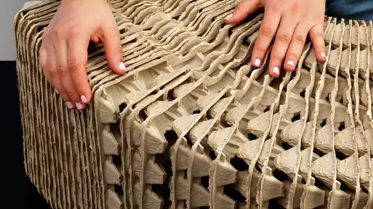 Neizmetiet olu kārbas: 5 noderīgi veidi, kā tās atkārtoti izmantot mājās.